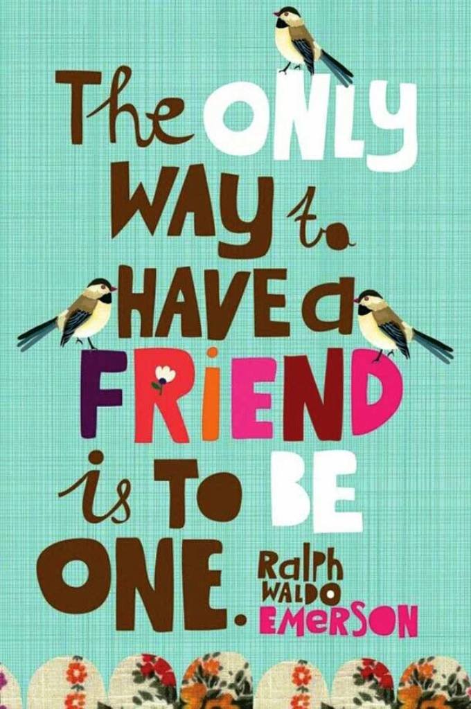 20 Best Friendship Quotes For Your True Friends